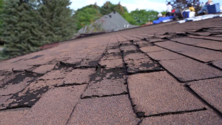 Best Asphalt Shingles Roofing  in York, SC