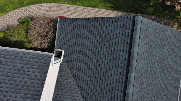 Best Roof Moss and Algae Removal  in York, SC